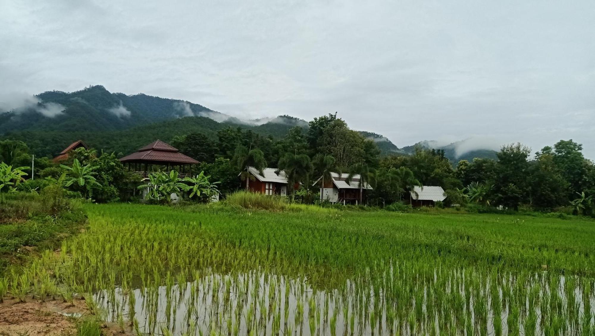Ing Doi Guest House Pai Exteriér fotografie